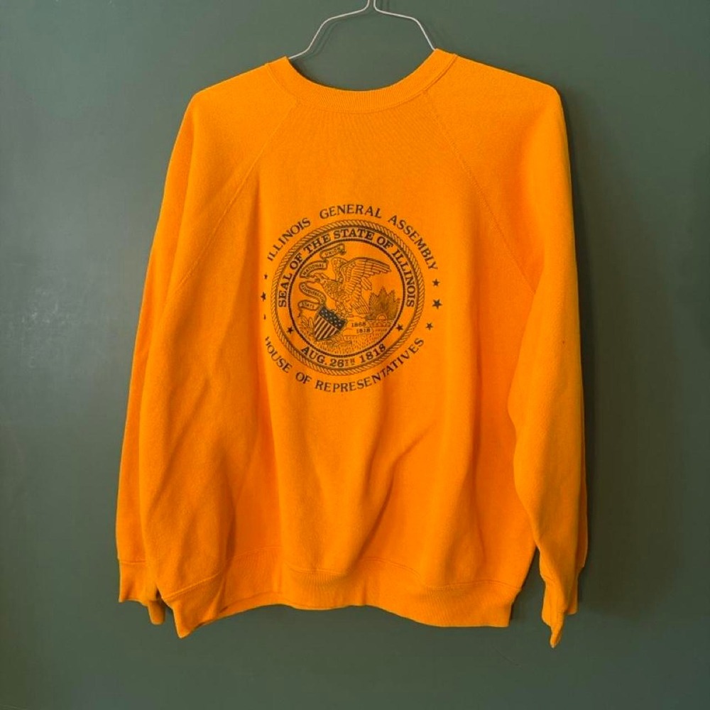Vintage 80s Discus Athletic Illinois House of Representatives Sweatshirt XL